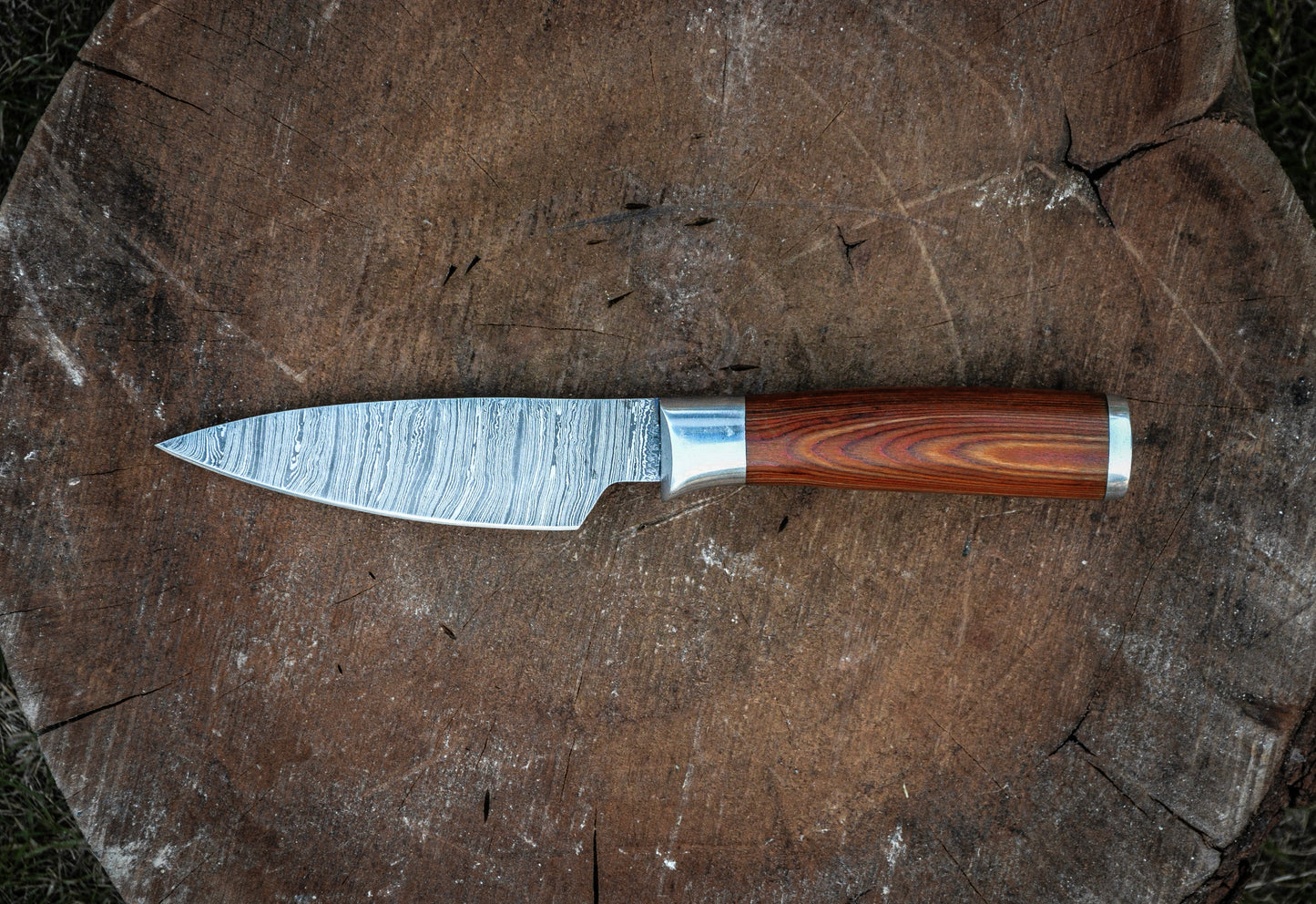 PARING KNIFE - Damascus Steel