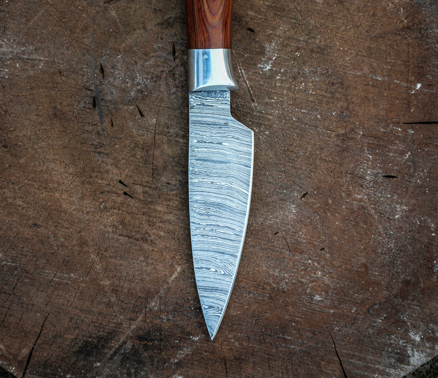 PARING KNIFE - Damascus Steel