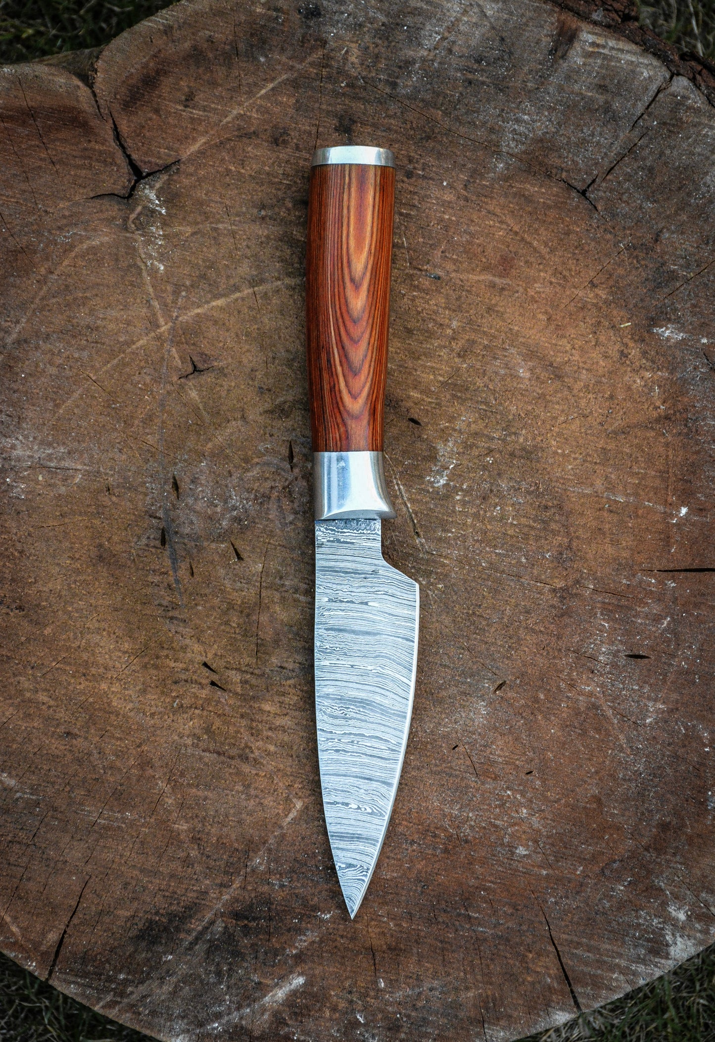 PARING KNIFE - Damascus Steel